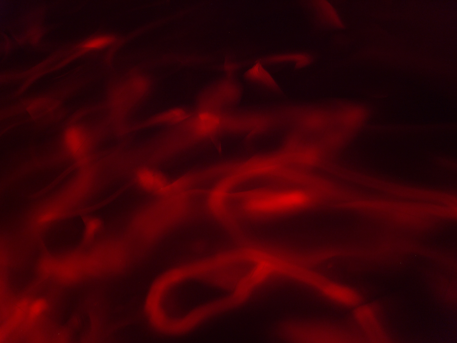 今夜无风 image 29